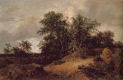 Jacob van Ruisdael Dune Landfscape oil painting reproduction